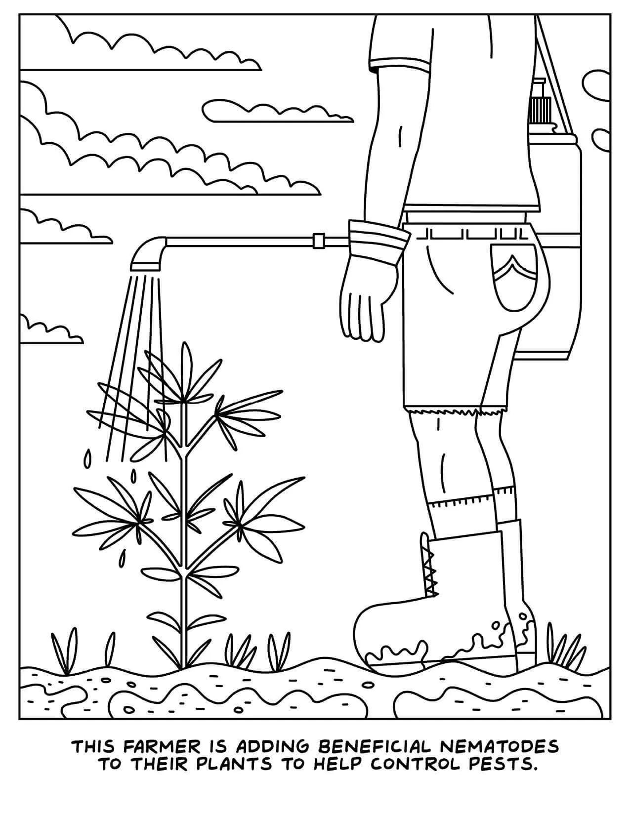 A Visit To The Cannabis Farm Coloring Book