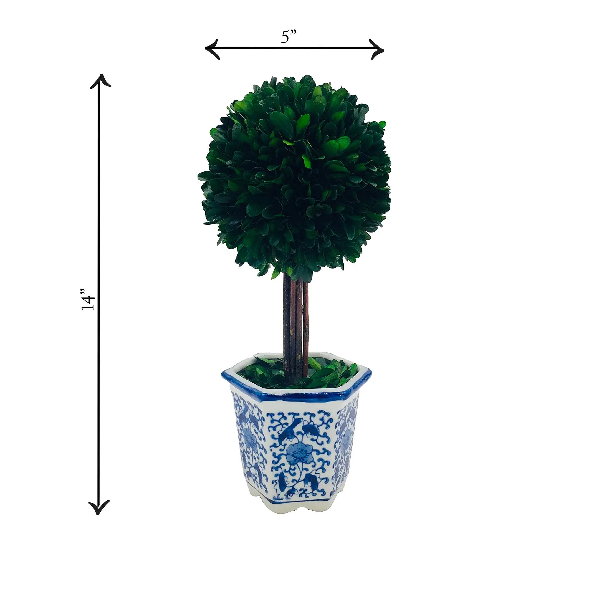 Boxwood Ball Topiary Tree in Blue & White Ceramic Pot Decor