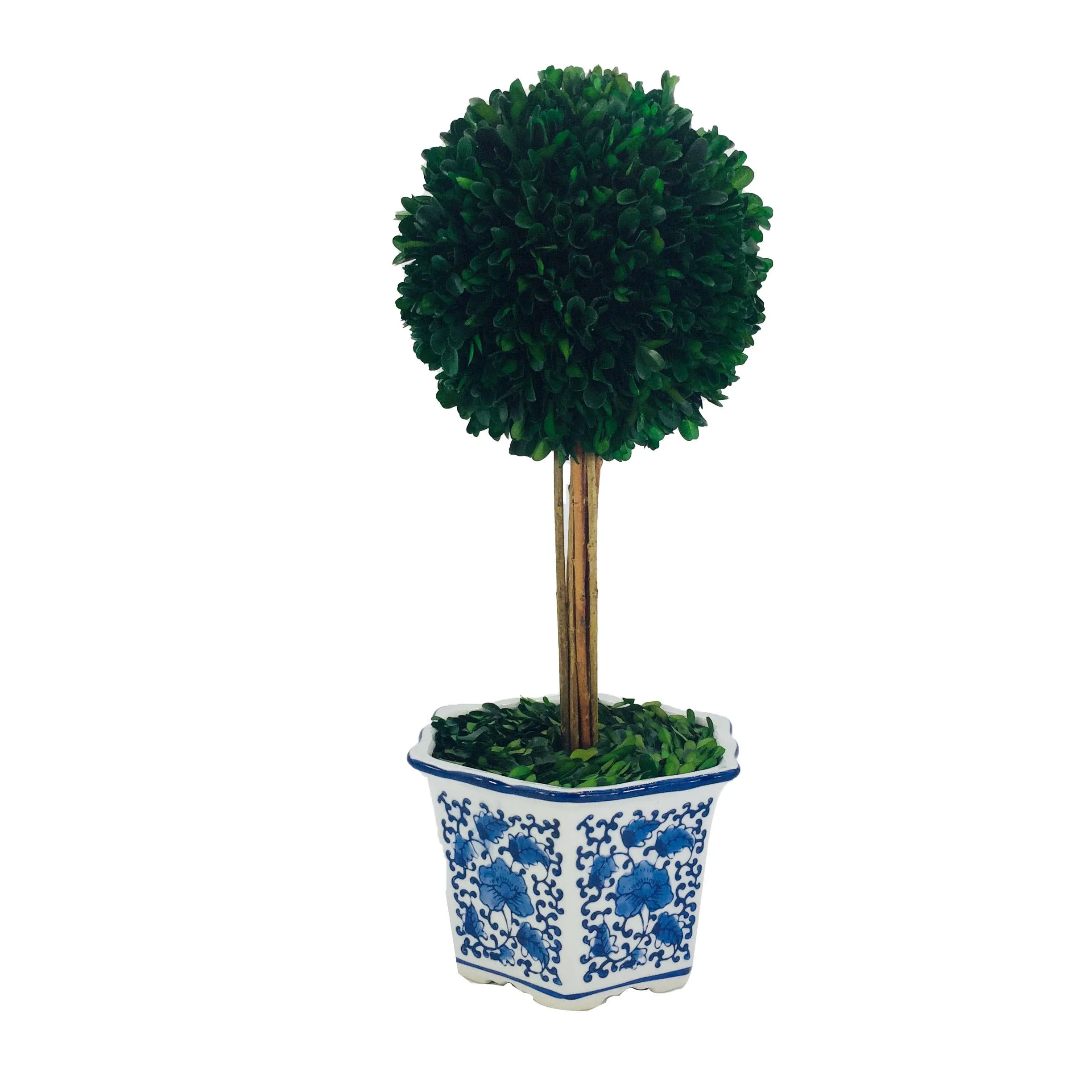 Boxwood Ball Topiary Tree in Blue & White Ceramic Pot Decor