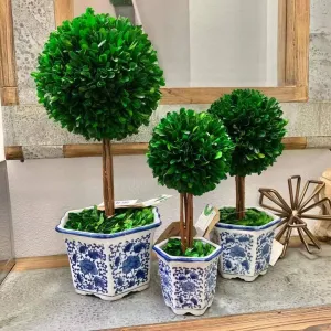 Boxwood Ball Topiary Tree in Blue & White Ceramic Pot Decor