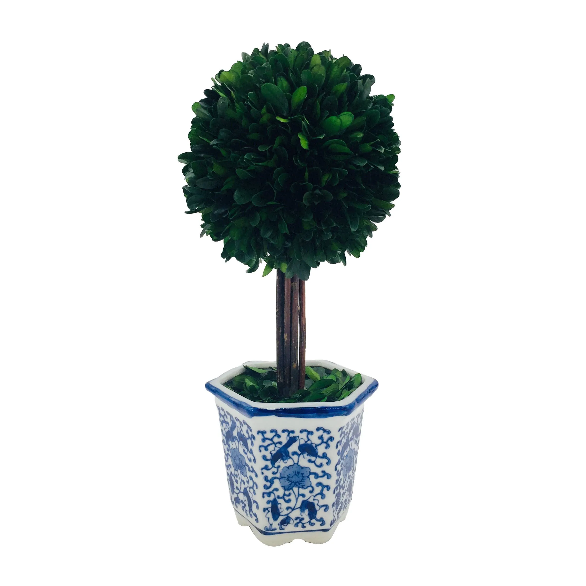 Boxwood Ball Topiary Tree in Blue & White Ceramic Pot Decor