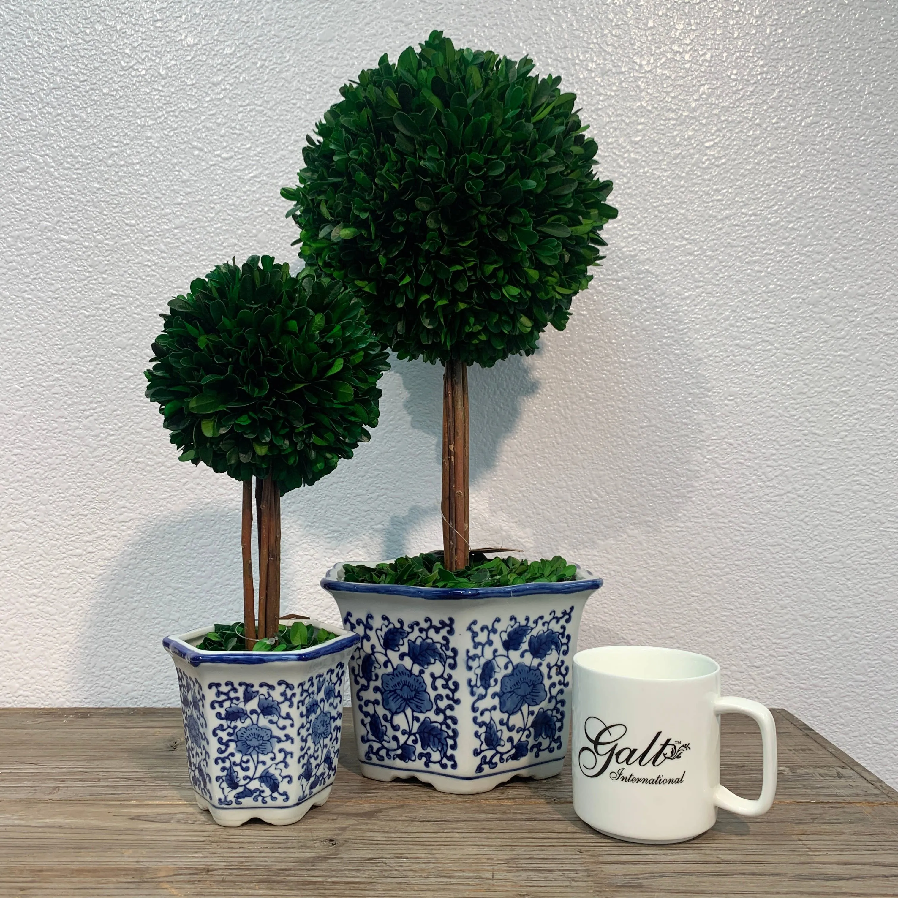 Boxwood Ball Topiary Tree in Blue & White Ceramic Pot Decor