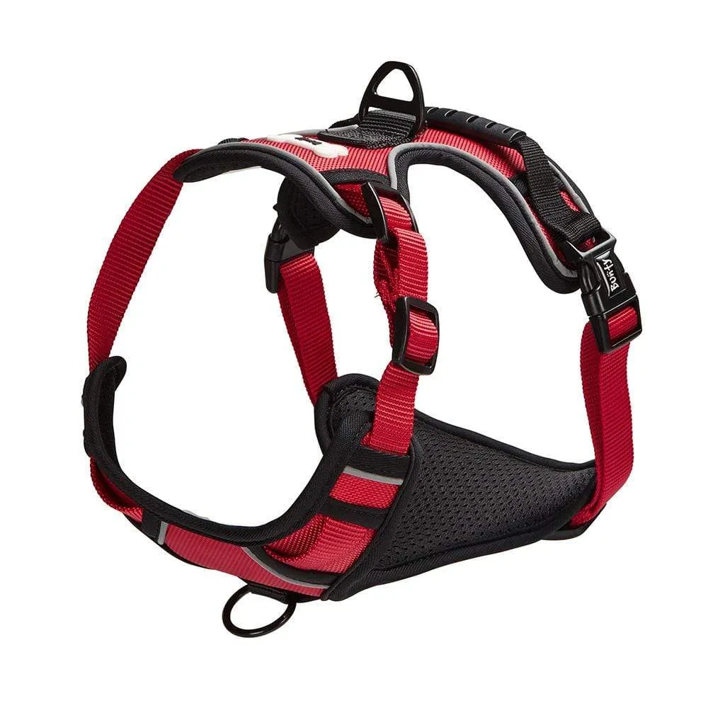 Bunty Adventure Harness