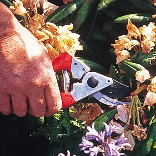 Darlac Professional Pruner DP30