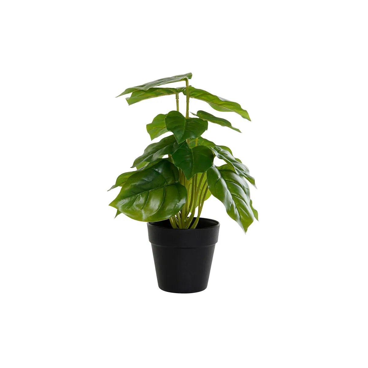 Decorative Plant DKD Home Decor PVC polypropylene 20 x 20 x 30 cm