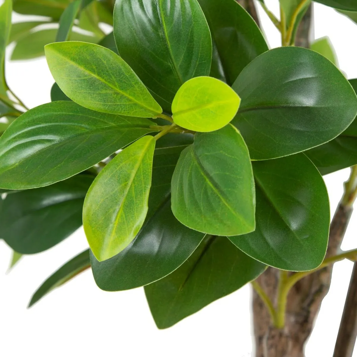 Decorative Plant Green PVC 145 cm Peperomia