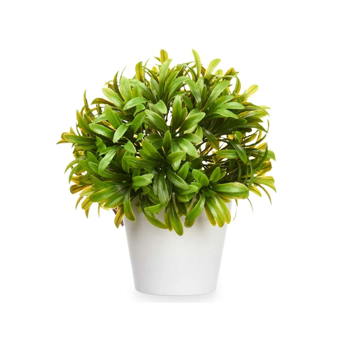 Decorative Plant Plastic 17 x 17 cm (6 Units)