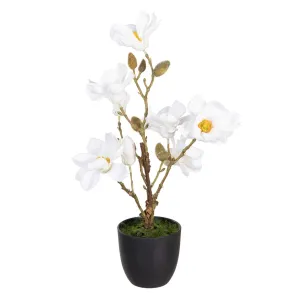 Decorative Plant Polyester Polyethylene Iron 25 x 25 x 49 cm Magnolia