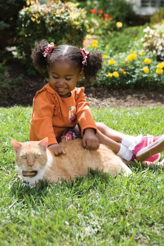 Deluxe In-Ground Cat Fence™ System