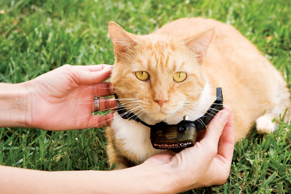 Deluxe In-Ground Cat Fence™ System