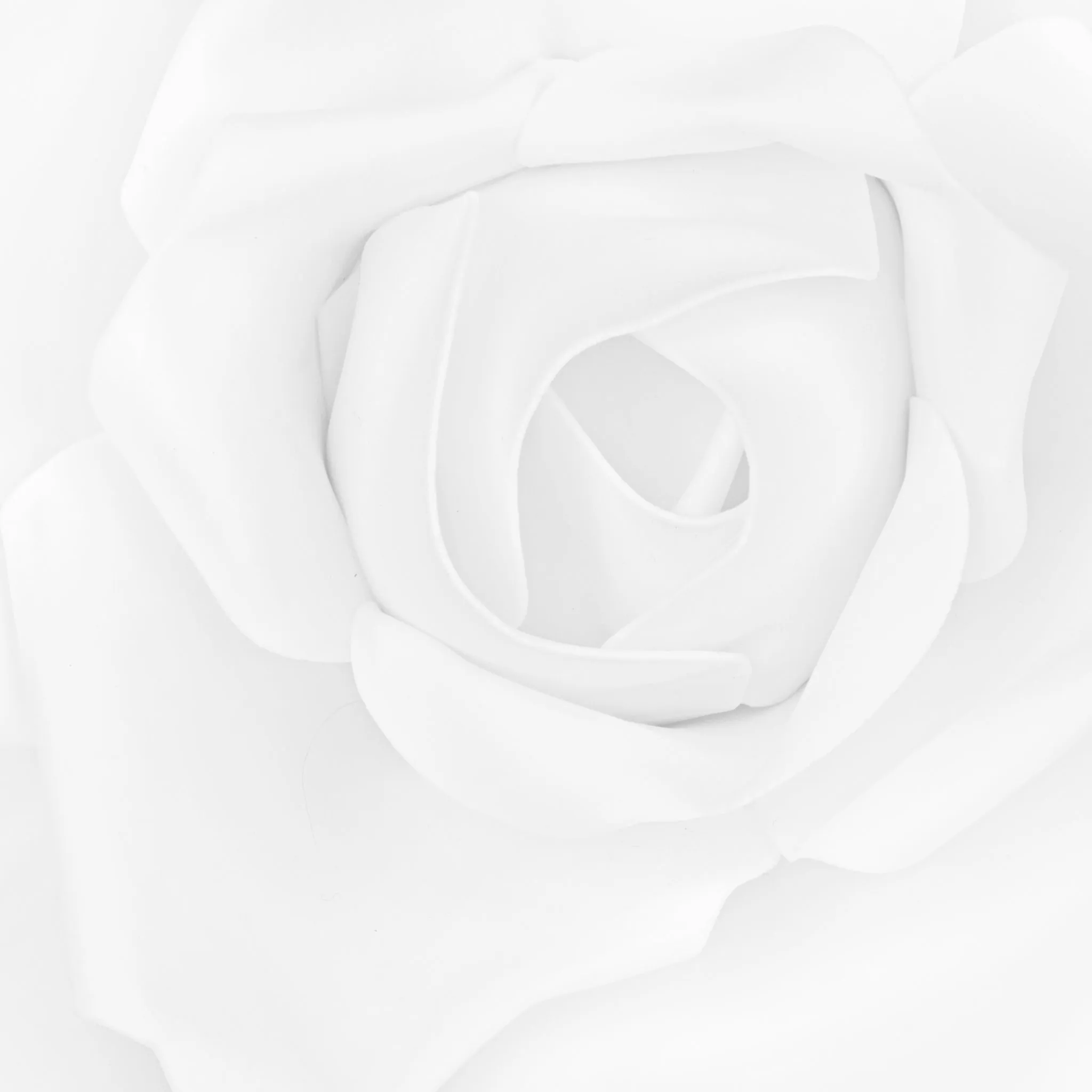 Large Foam Rose Wall  Decor 40 cm - White