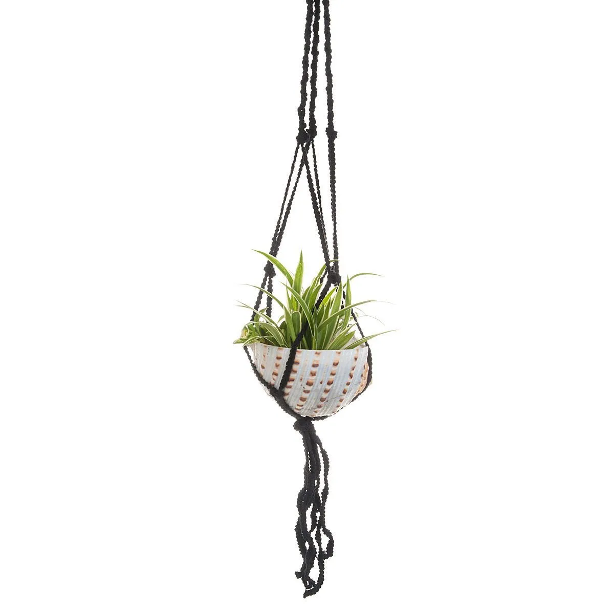 Macramé Shell Hanging Planter