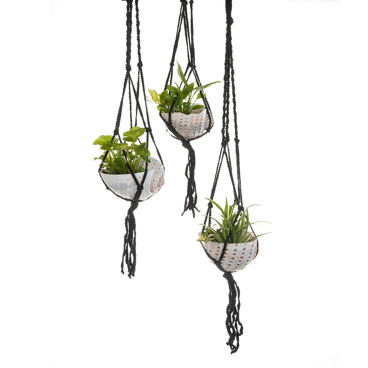 Macramé Shell Hanging Planter