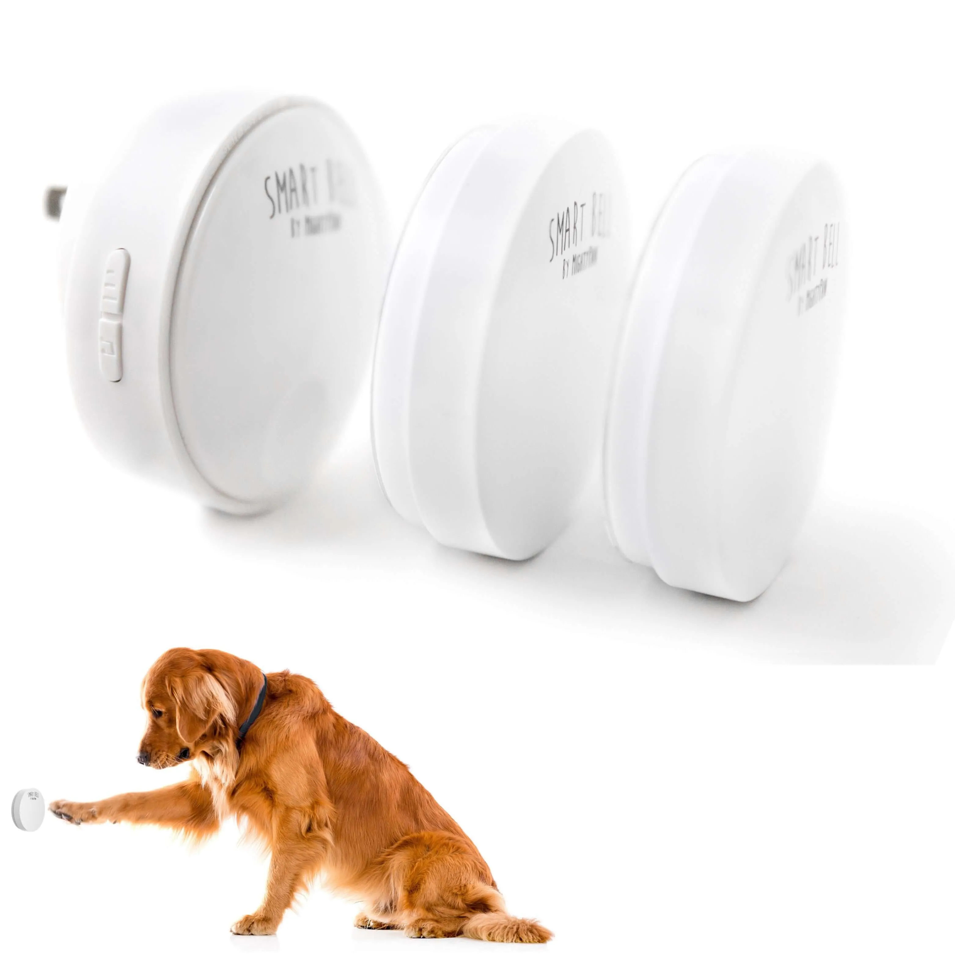 Mighty Paw Smart Bell 2.0: Potty Training Made Simple