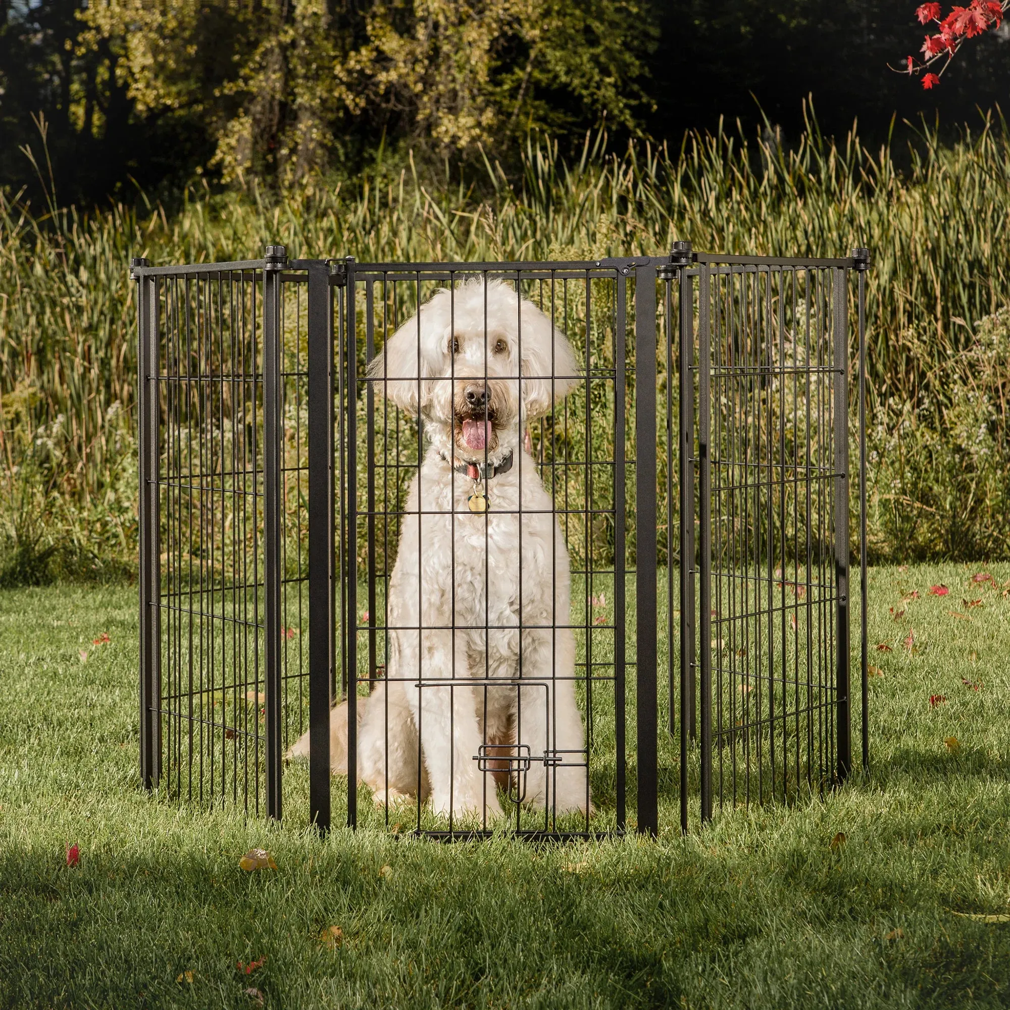 Outdoor Extra Tall Super Wide Pet Pen & Gate