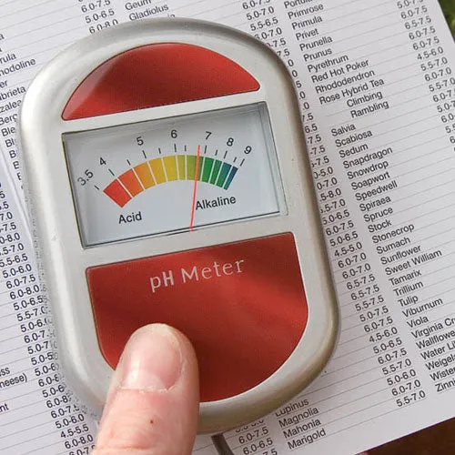 pH Meter