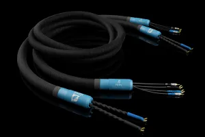 Signal Projects Hydra Speaker Cable