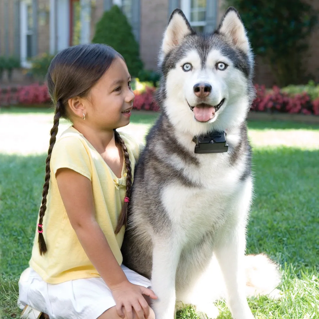 Stubborn Dog In-Ground Fence™ System