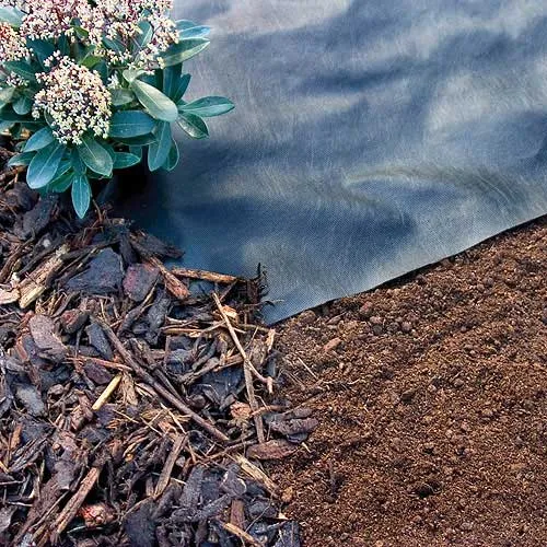 Weed Mulch